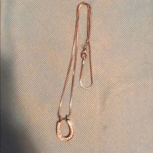 Horseshoe necklace